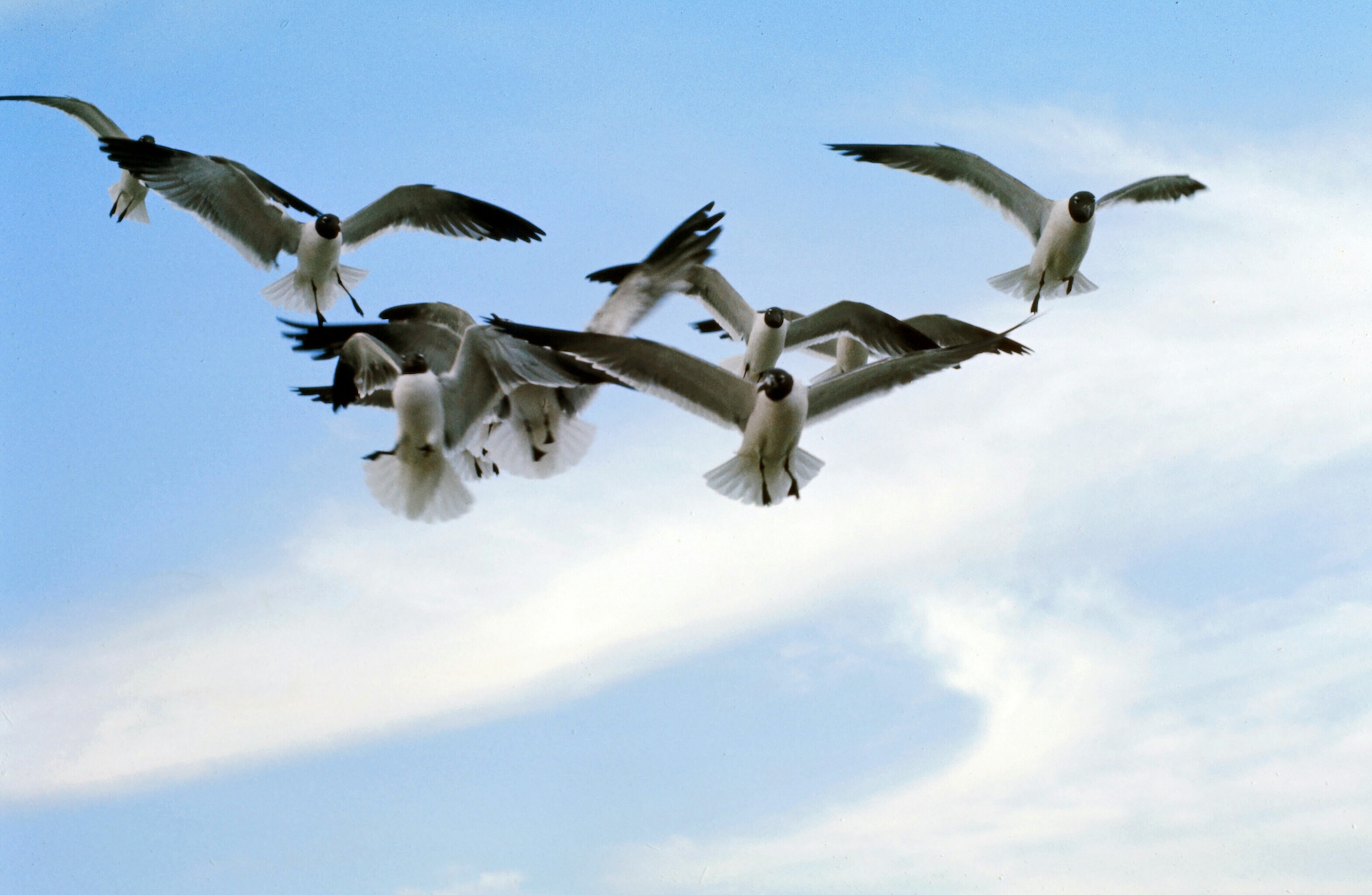 outdoor activities in galveston