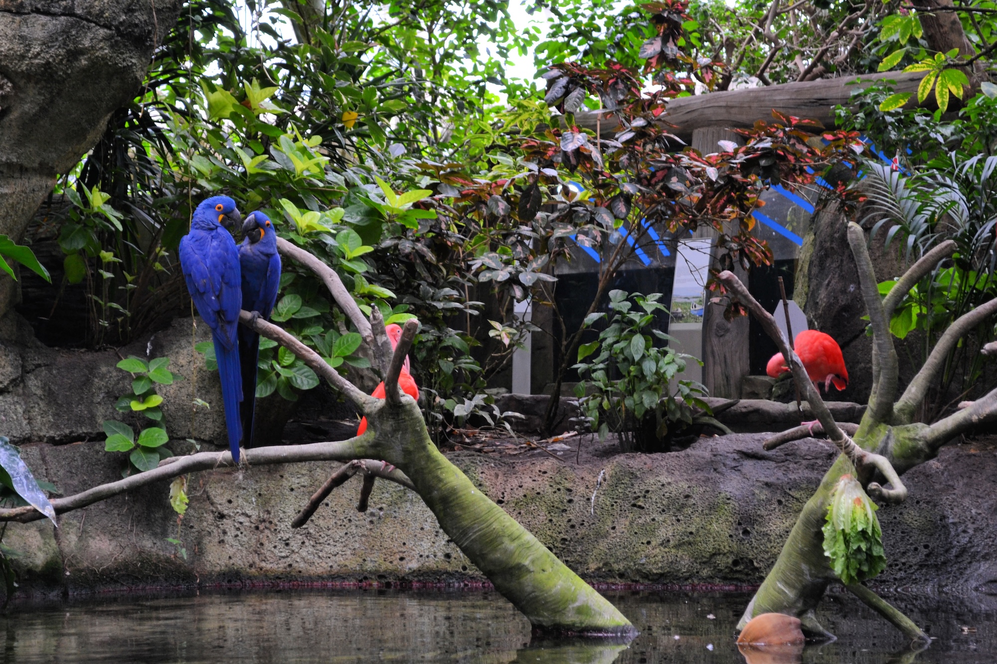 Galveston Tourist Attractions